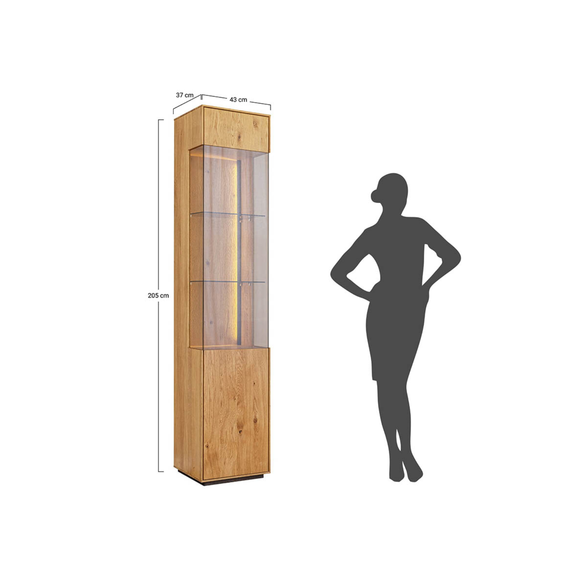 Vitrine Collodi 43x205cm, Material: Massivholz Eiche