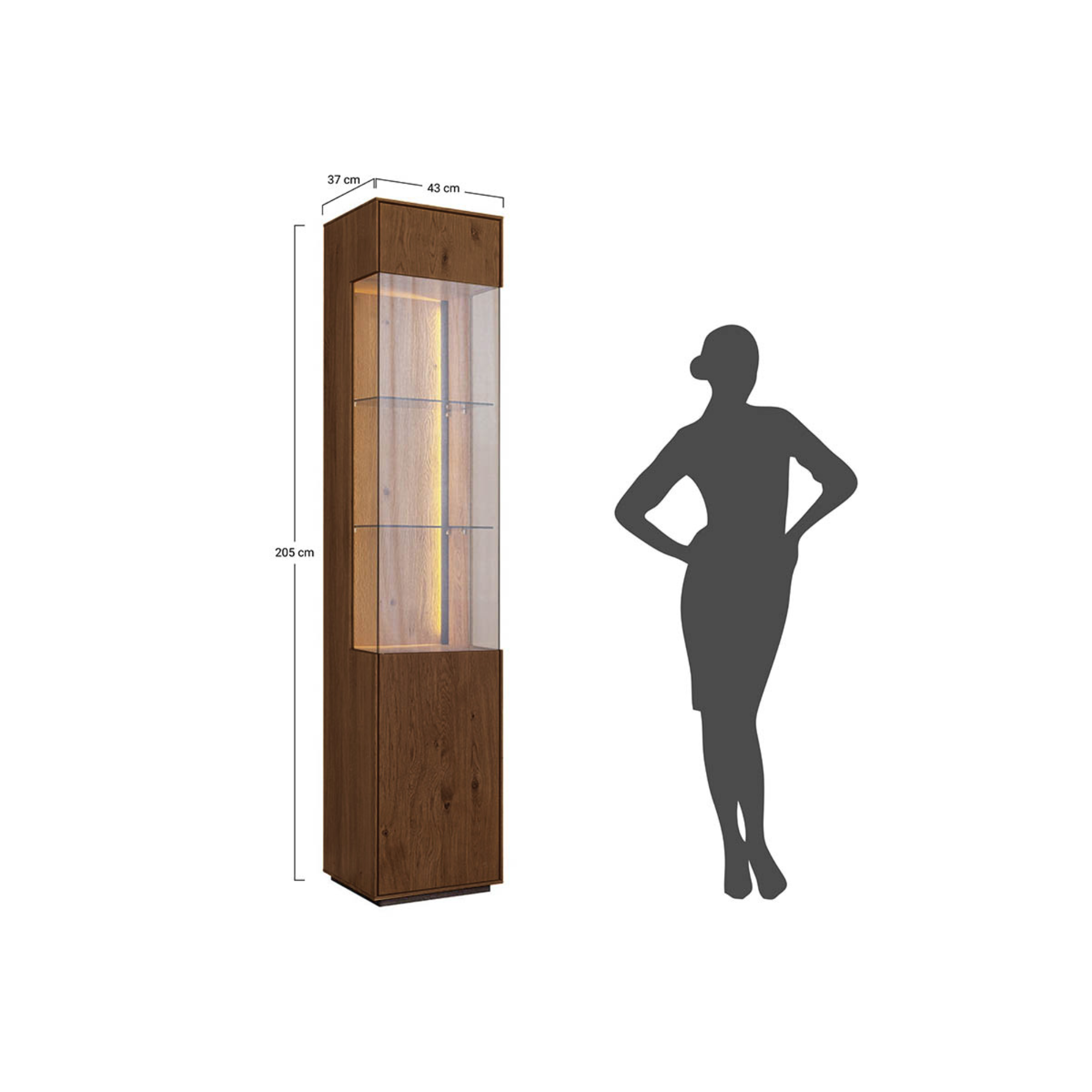 Vitrine Collodi 43x205cm, Material: Massivholz Eiche