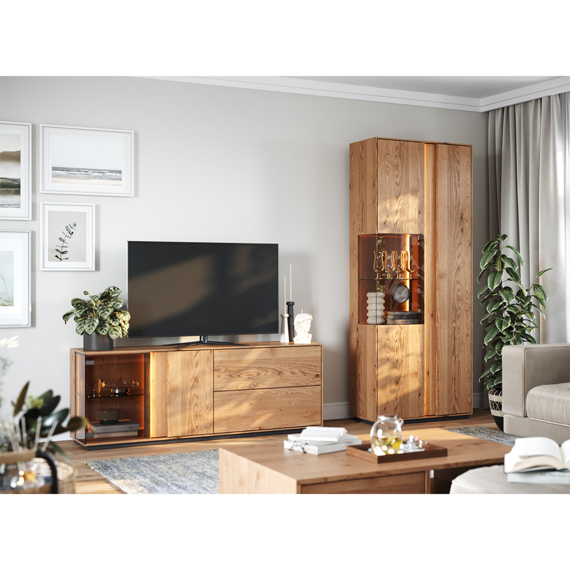 Vitrine Collodi 84,50x205cm, Material: Massivholz Eiche