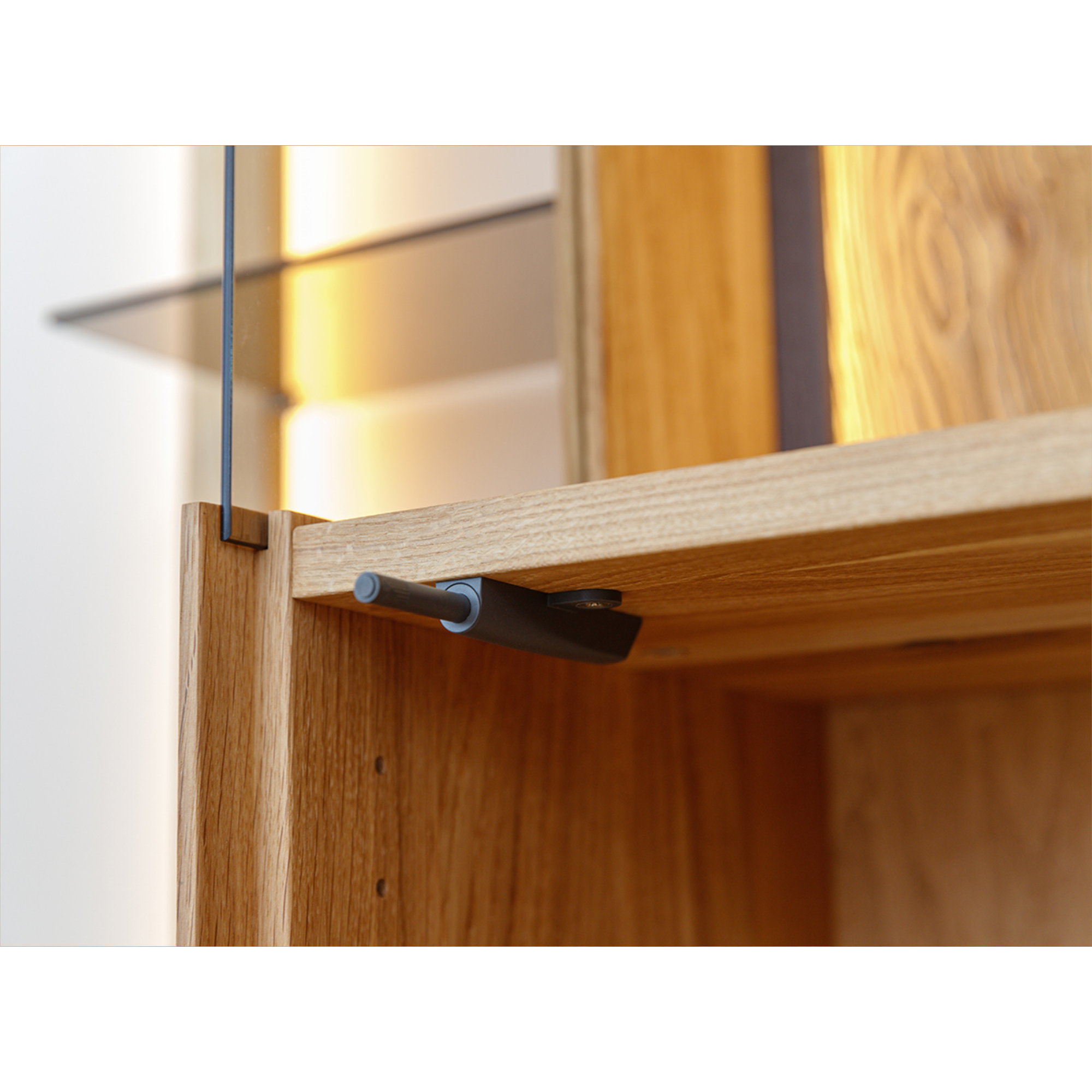 Vitrine Collodi 73x195cm, Material: Massivholz Eiche