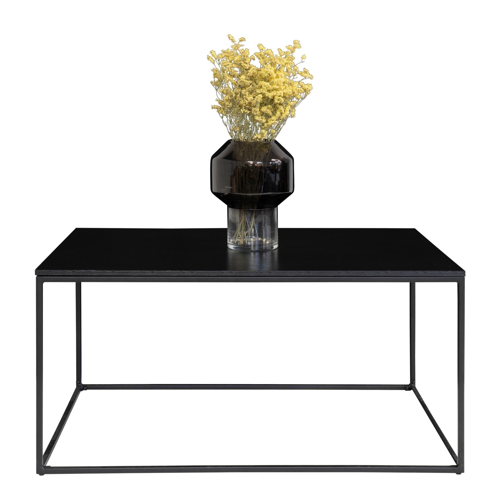 Vita Couchtisch, Material: Spanplatte/Stahl